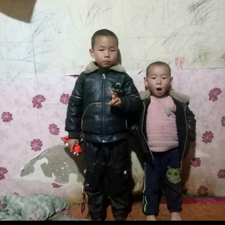 大西北的狗