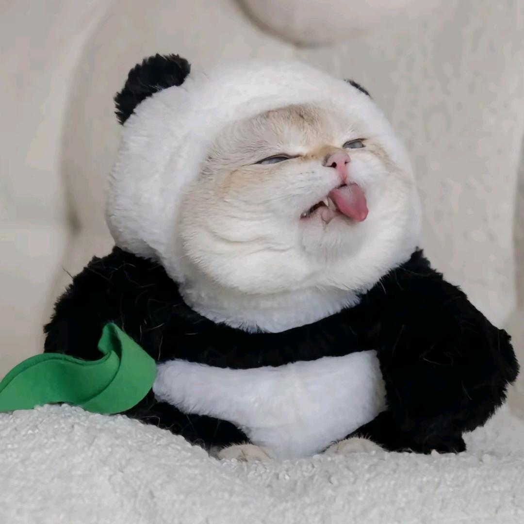 发糖