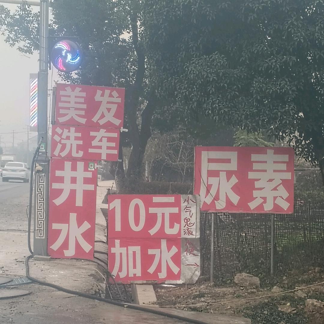 地球主人
