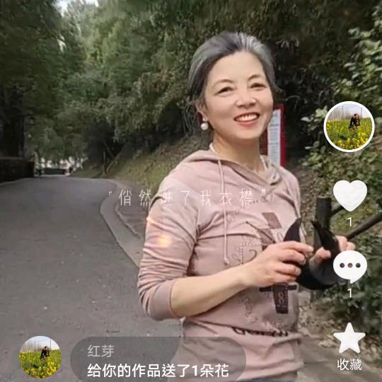 红芽