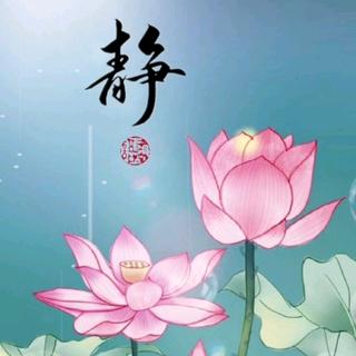 🌻禅悟浮生🌻