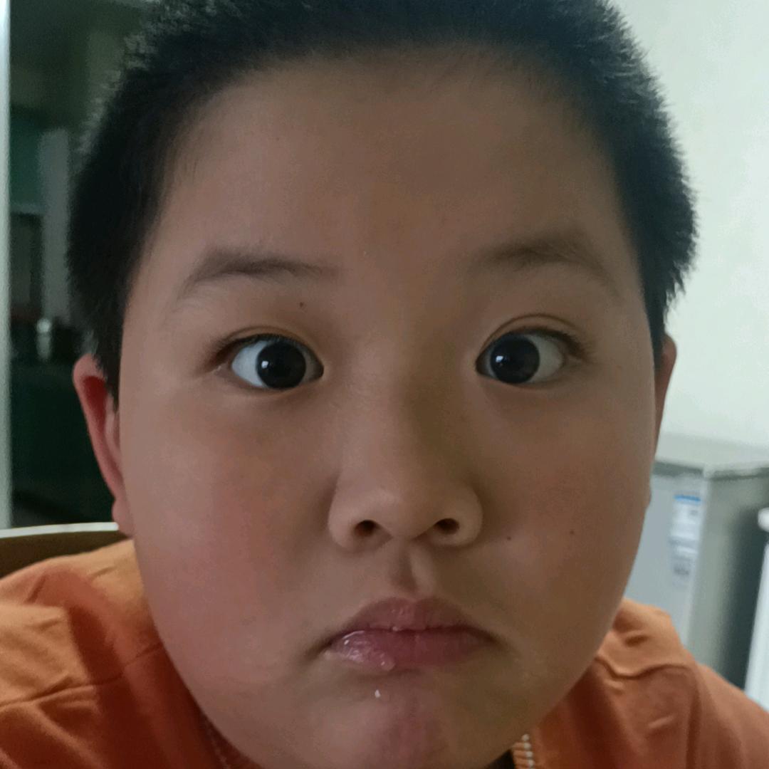 向智宝宝