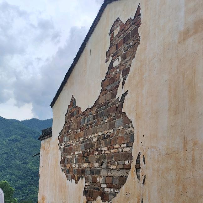 秋何风与树冷