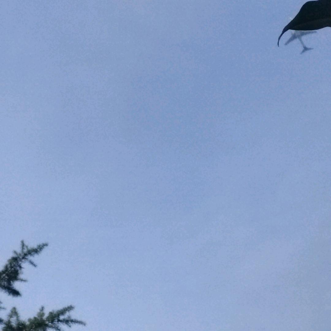 自信