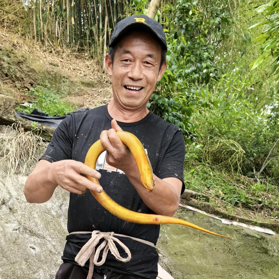 聋哑鳝哥