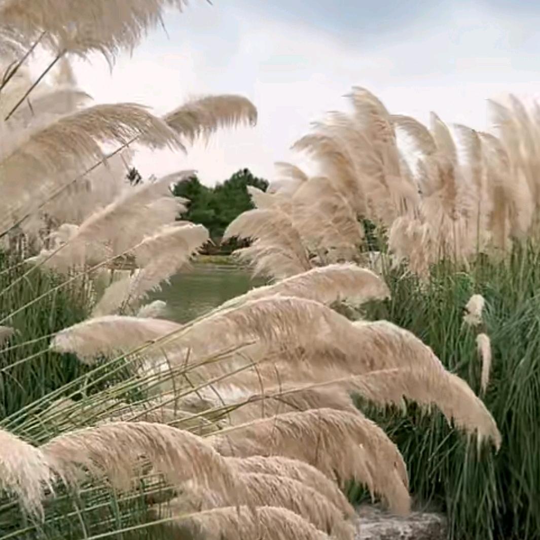 孙老师（启航升学指导）