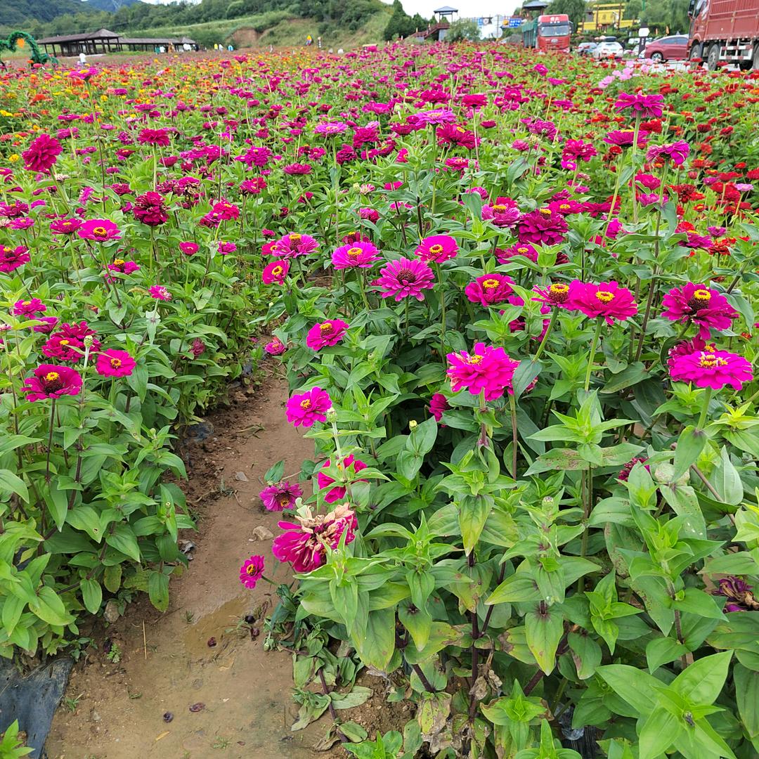 💞🐳郑好~~遇见你🎊