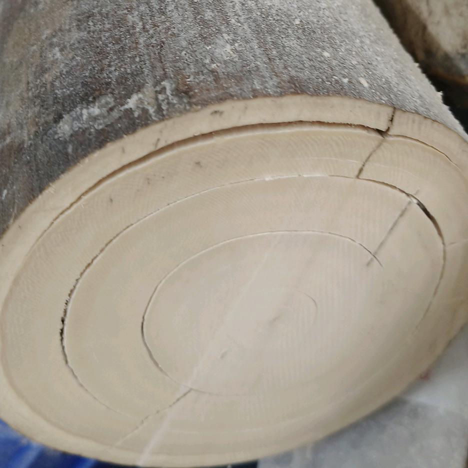 金玲阁猛犸经营部