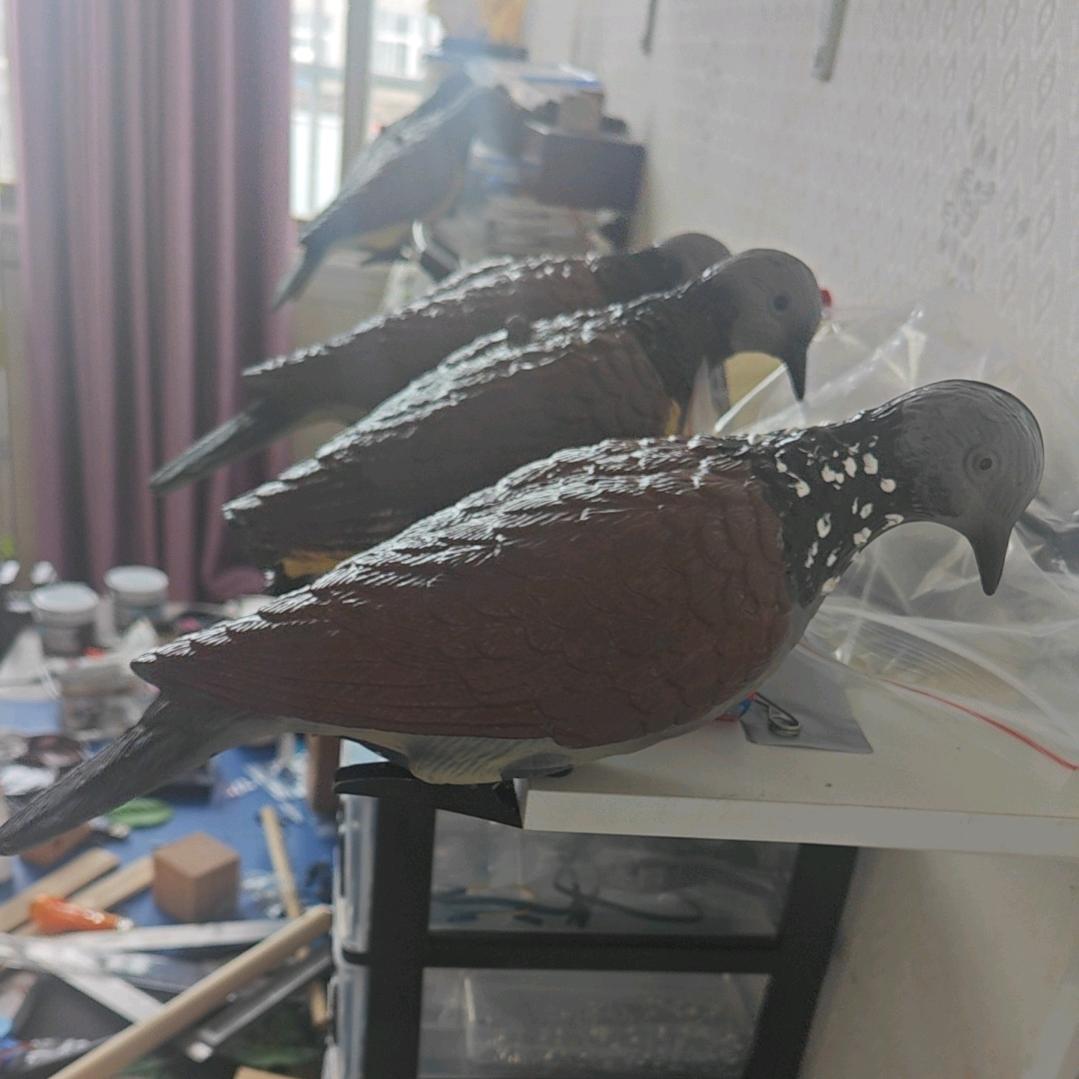 合肥中合模型加工厂