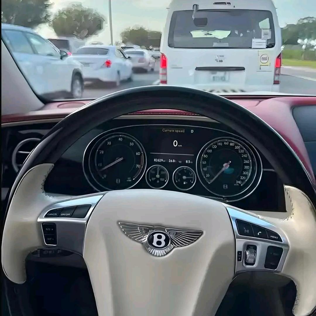 🔥孤傲🔥的狼🔥