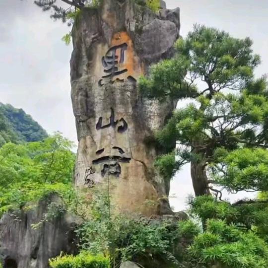 天赐﹉