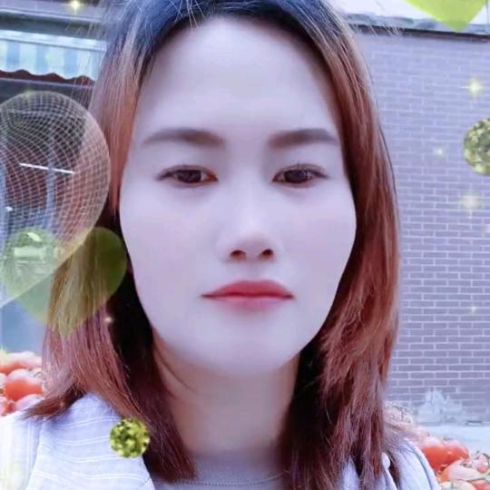 随心果动🙆