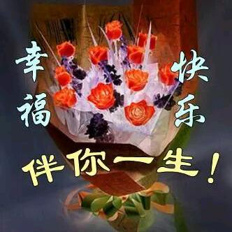 冰橙心意