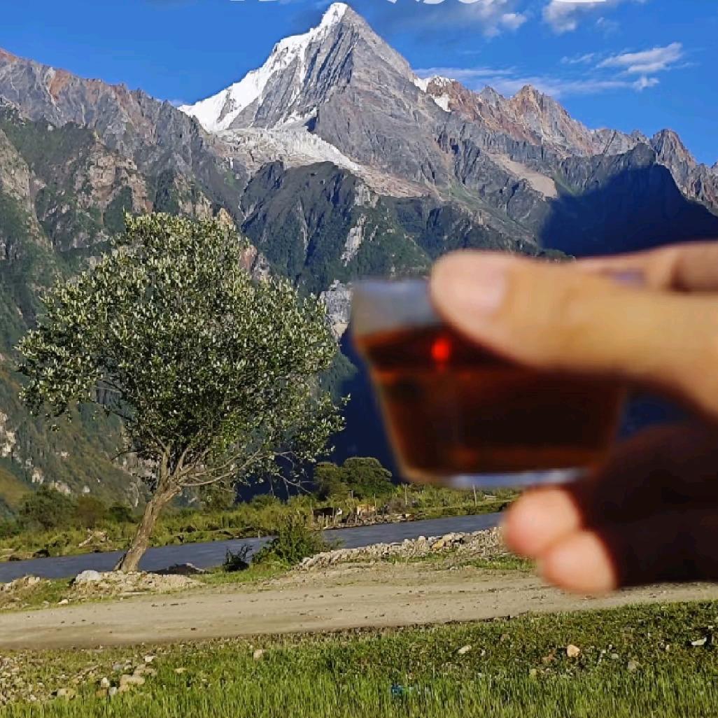 坤哥的茶🍃