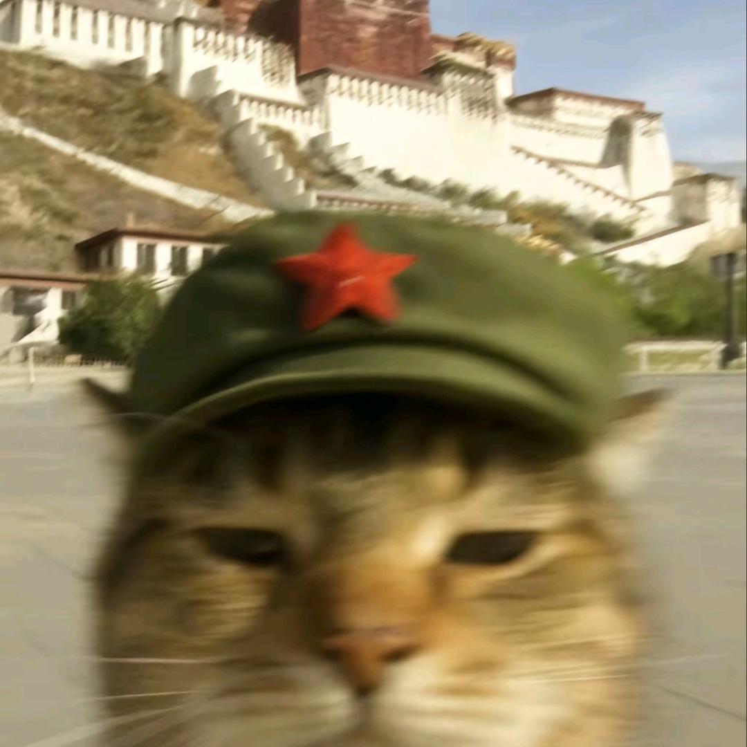 何事长向别时圆