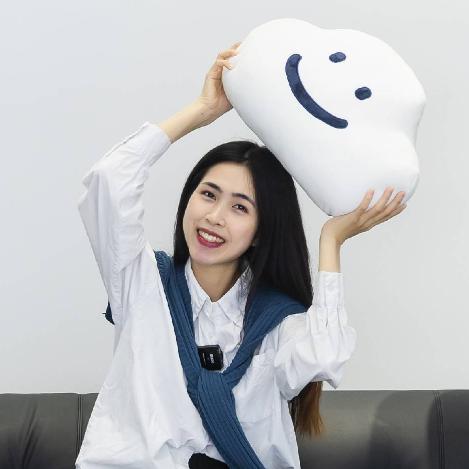 VN小姐新中式家具