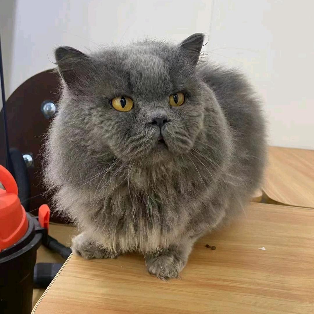 QwQ