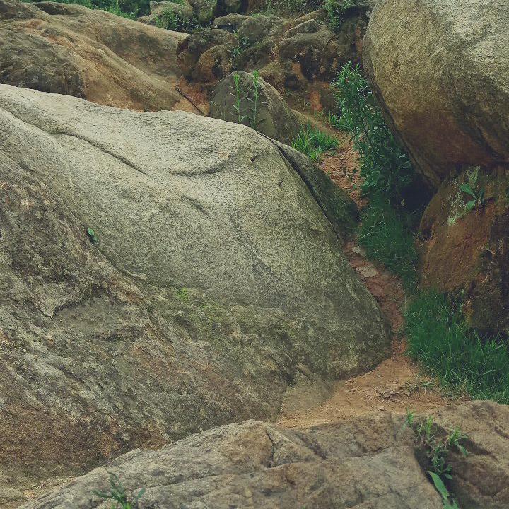 浪子周哥