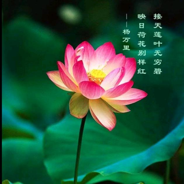 下一个奇迹