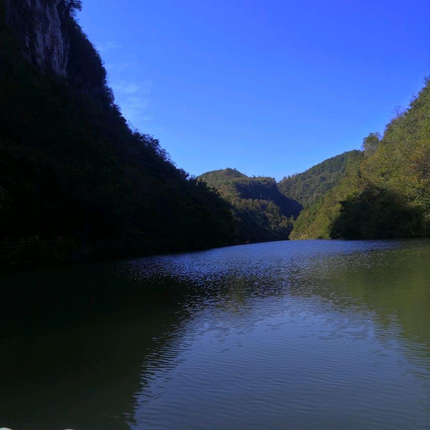 瑾文酒业（躺平中。。。）