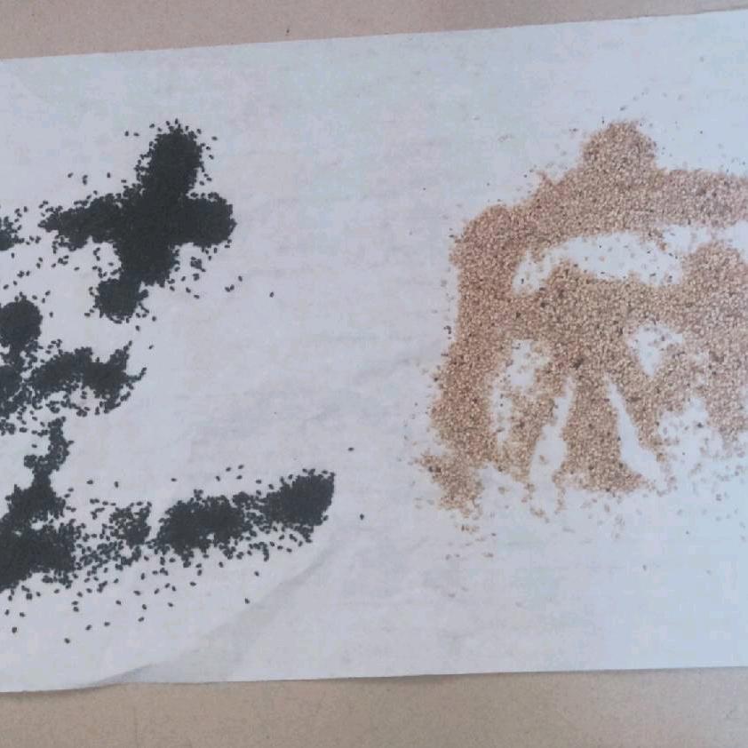 鲁恒芝麻