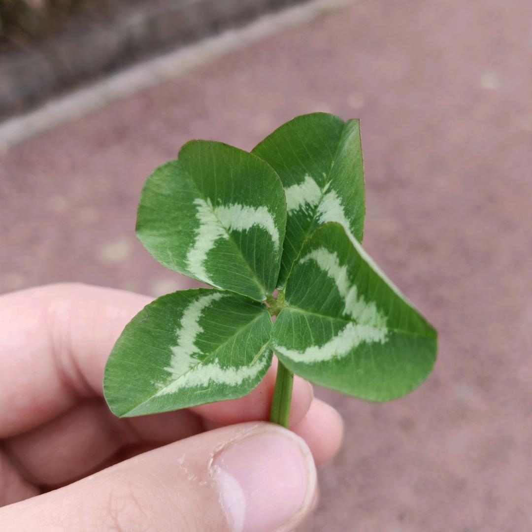 合伙人