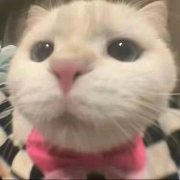 唸唸