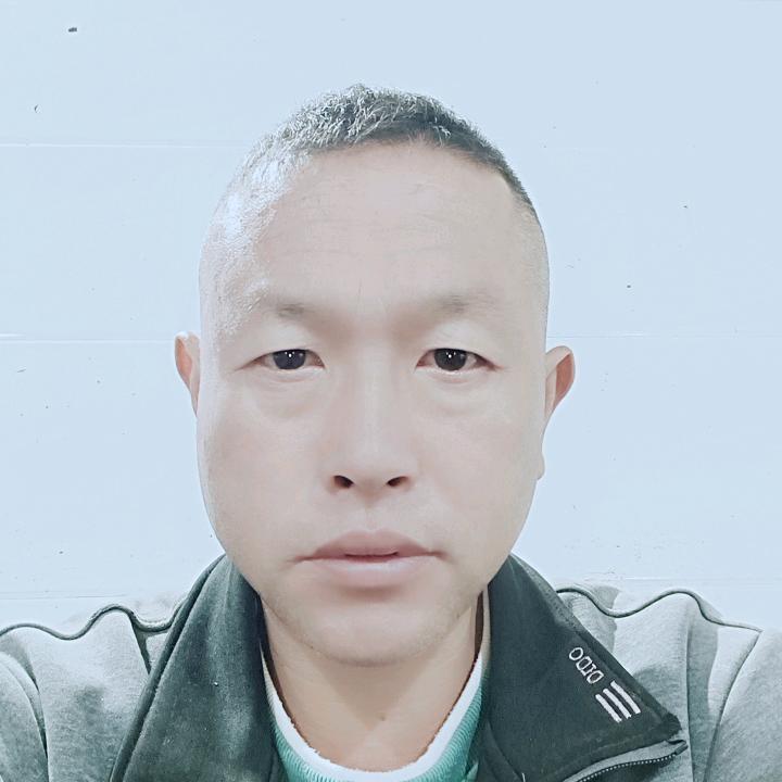 高山小黄牛马渡关后街