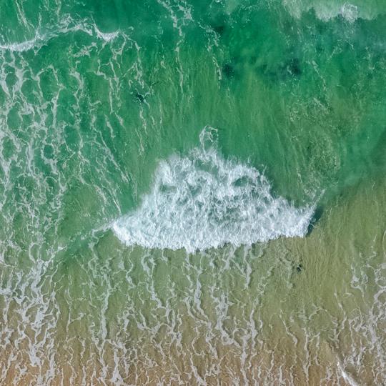 _娜女子 °snowflake