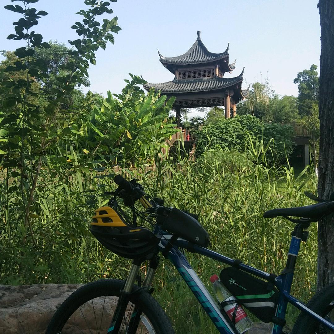 远方有光