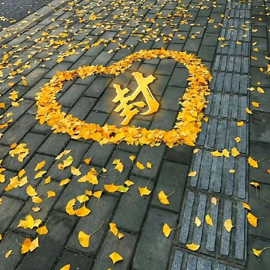港湾