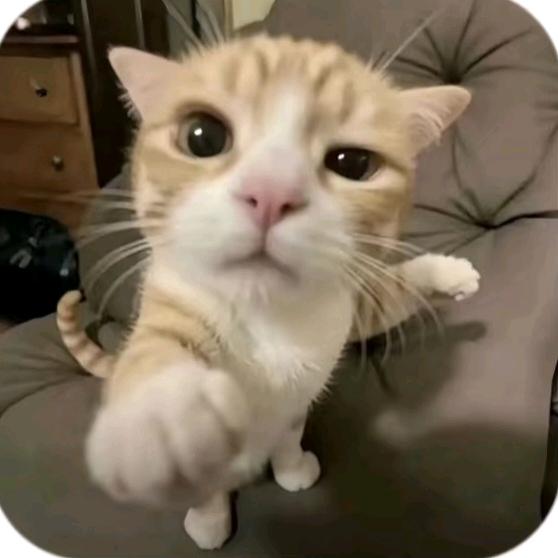 睡好觉