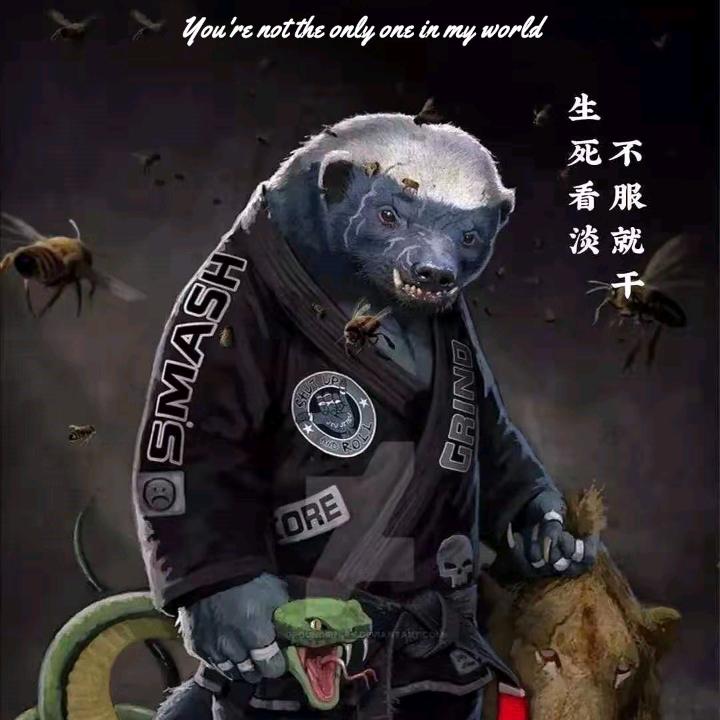 冰岛，天天钓鱼