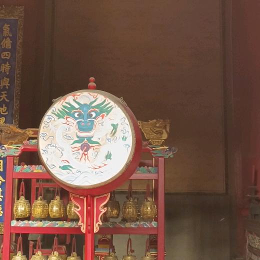 前进河的水蕖清