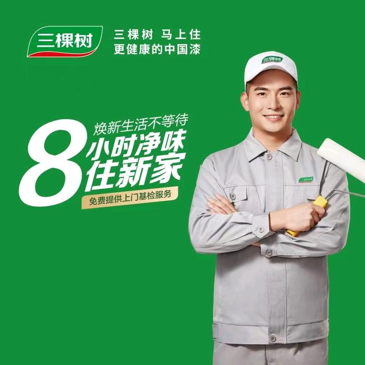 三棵树内外墙装修