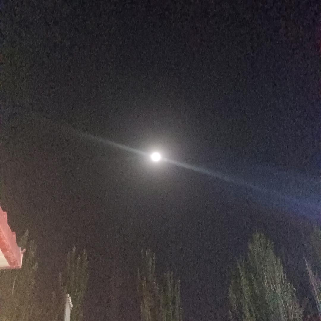 我爱你么么哒709155