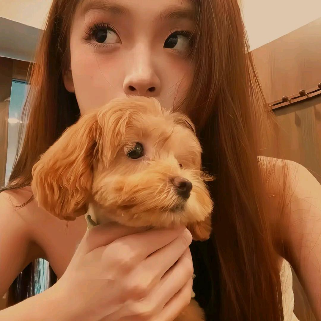 不吃葱花-