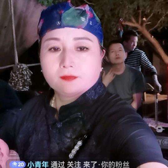 温柔的小猫咪