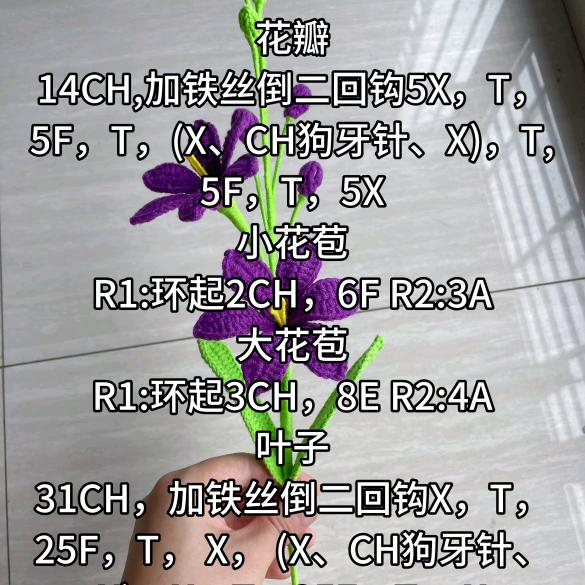 梅宝