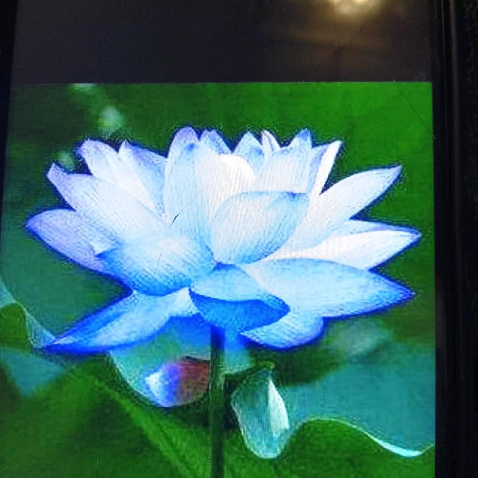 商丘市透明瓦有限公司