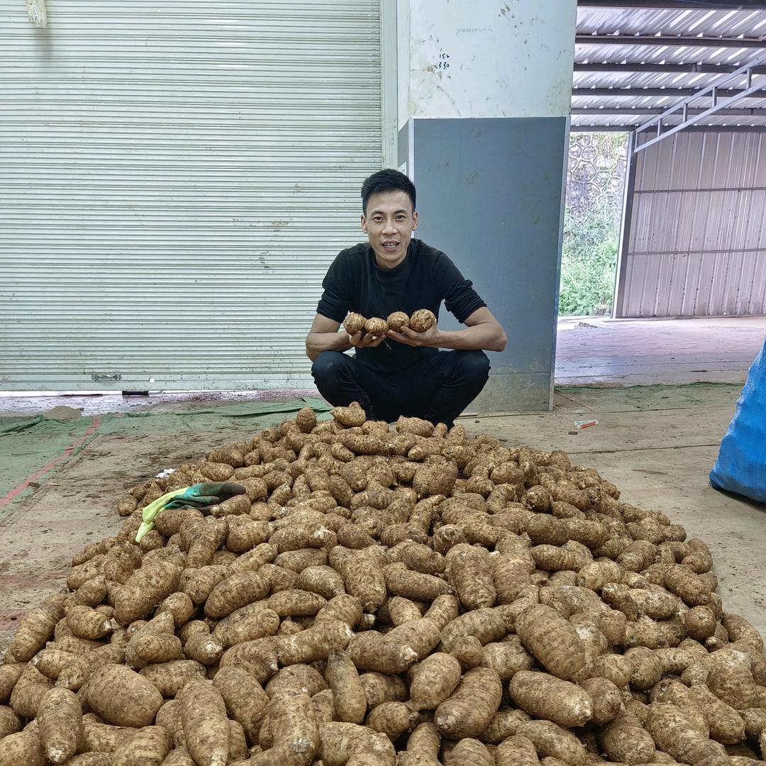 彝良阅盛农副产品小铺