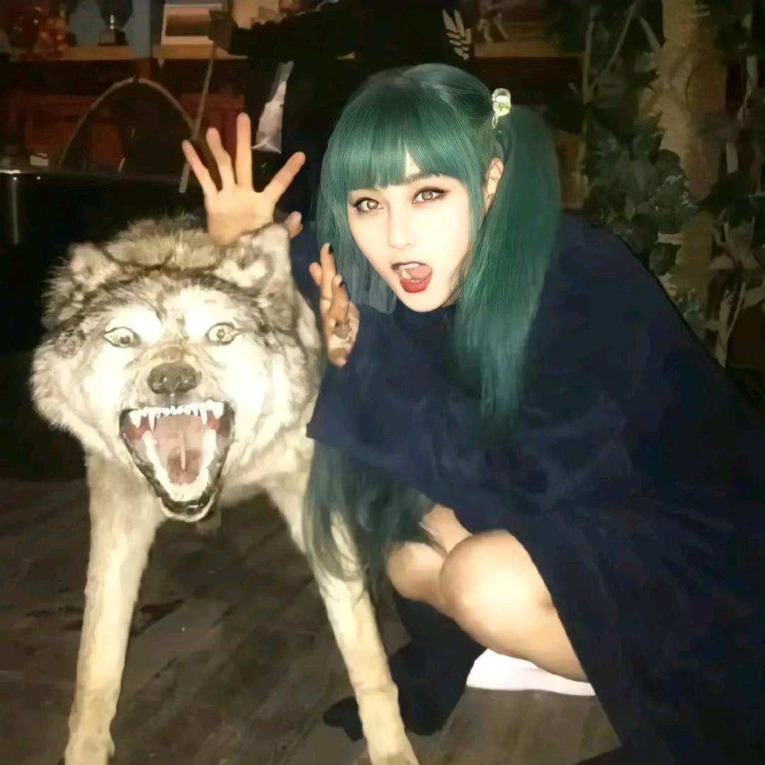 小猫要学会做饭