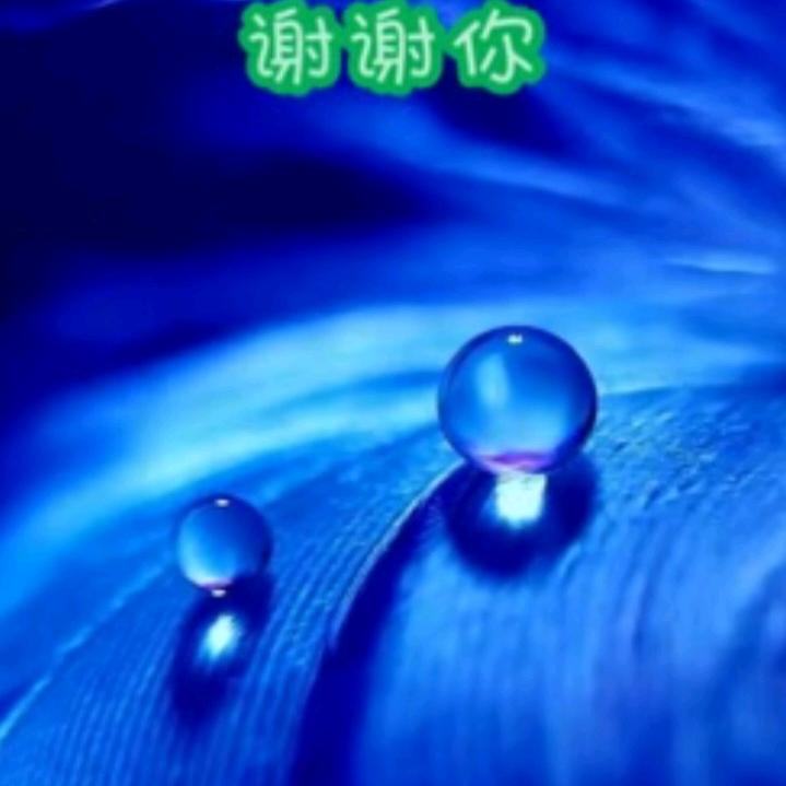 成悦.觉醒认知