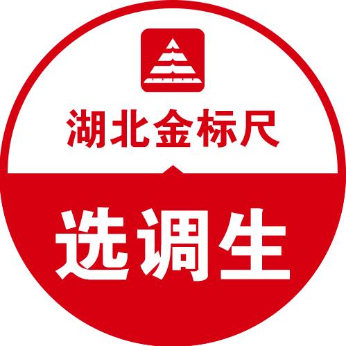 金标尺武汉选调生