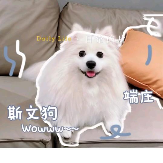 ！毛毛@1909