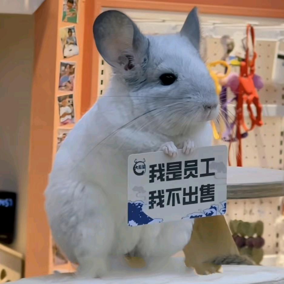 白小晓