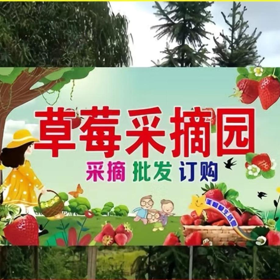 俞林草莓采摘园