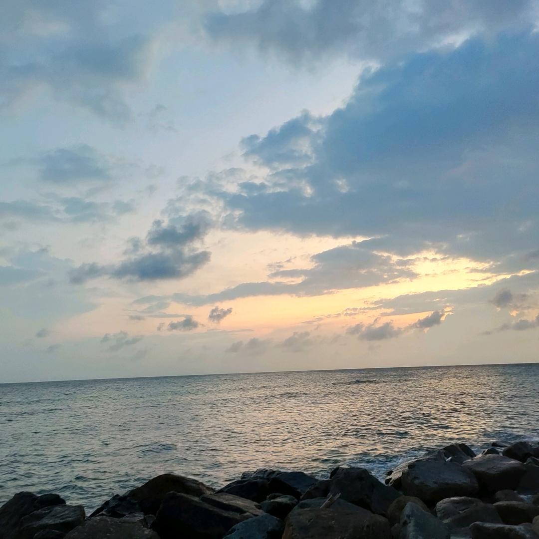 小小乡村生活日记