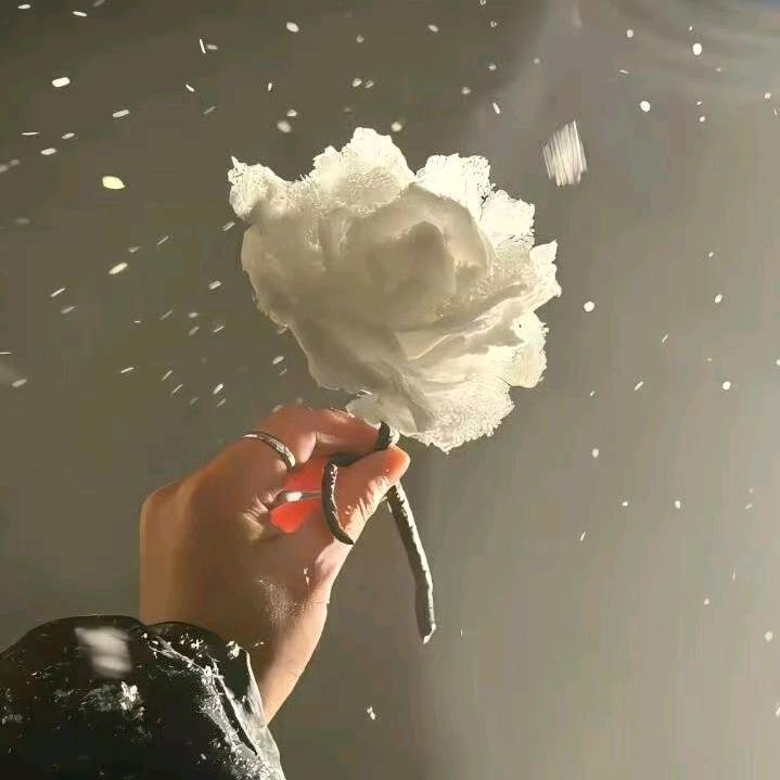 橙梦(◍•ᴗ•◍)❤