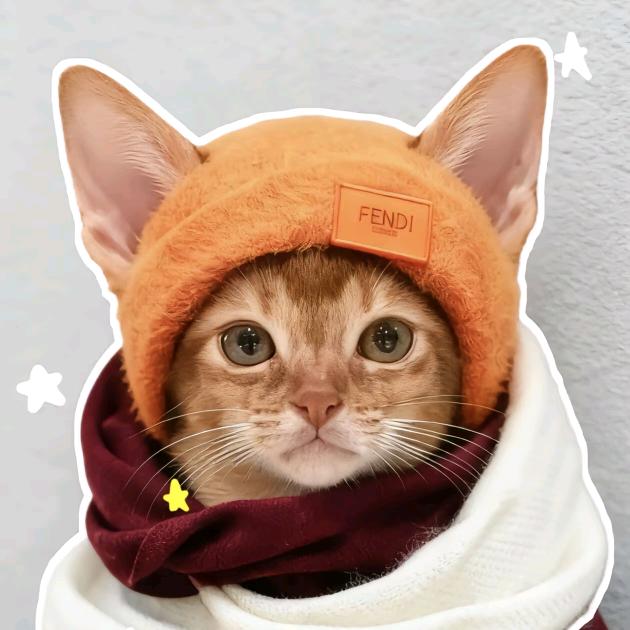 ˙· 不吃香菜_zzzy·